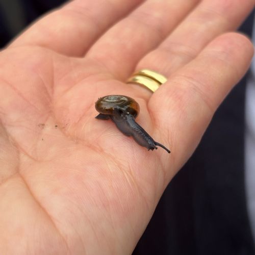 Learning about Creation & looking after our world.