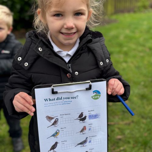 January: Big Garden Bird Watch