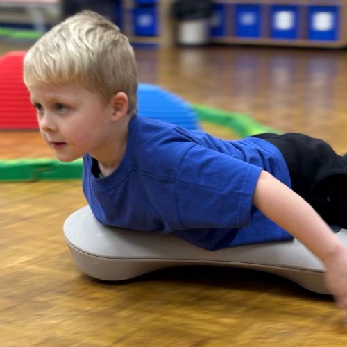 February: Action Ants